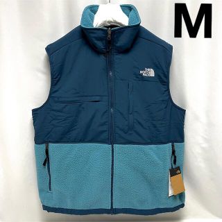 ザノースフェイス(THE NORTH FACE)のM 日本未発 ノースフェイス デナリベスト DENALIVEST フリースベスト(ベスト)