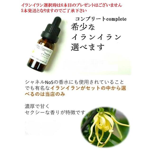 記念日 ☆5ml×6本☆ 精油 アロマオイル セット スポイト付 加湿器 36種から選択 エッセンシャルオイル（精油） 