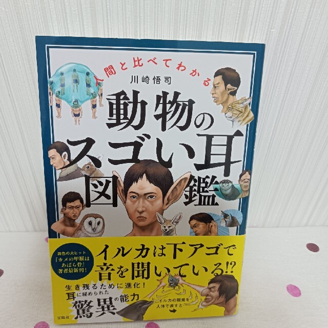 宝島社(タカラジマシャ)の人間と比べてわかる動物のスゴい耳図鑑 エンタメ/ホビーの本(人文/社会)の商品写真