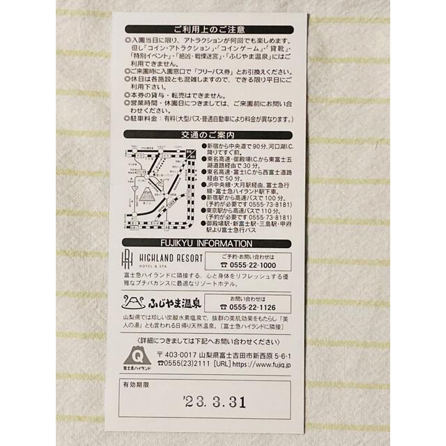 富士急ハイランド フリーパス 2枚 ペア www.camfly.co.za