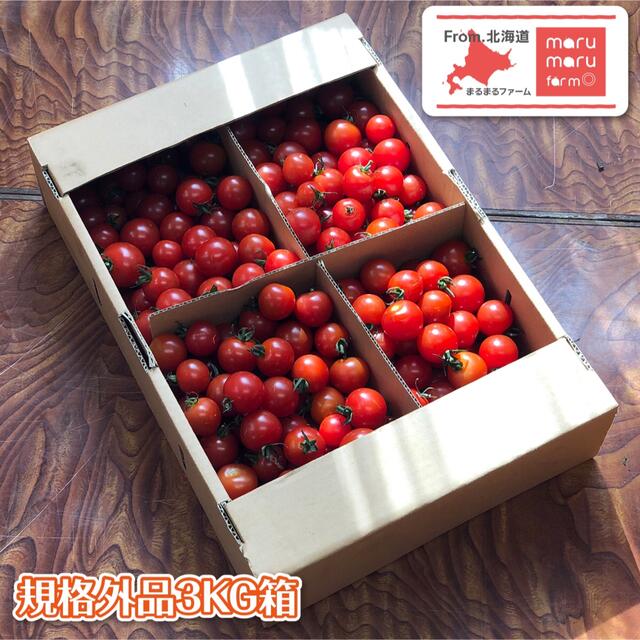 ミニトマト 3kg 北海道産 規格外品 食品/飲料/酒の食品(野菜)の商品写真
