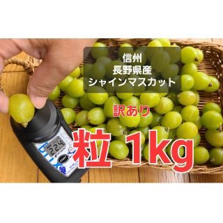 糖度抜群！【訳あり】シャインマスカット 粒1kg(フルーツ)