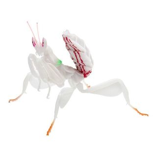 いきもの大図鑑 ハナカマキリ(白) 新品未開封(その他)