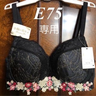 ウィング(Wing)のWing/Wacoal  ウイング/ワコール　レシアージュ　ブラジャー　E75(ブラ)