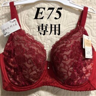 ウィング(Wing)のWing/Wacoal  ウイング/ワコール　レシアージュ　ブラジャー　E75(ブラ)