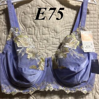 ワコール(Wacoal)のWing/Wacoal  ウイング/ワコール　レシアージュ　ブラジャー　E75(ブラ)