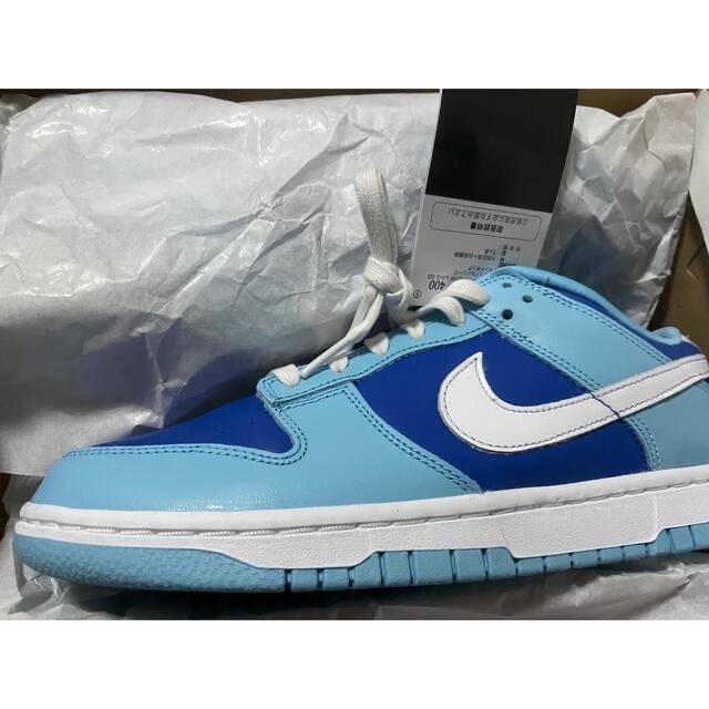 Nike Dunk Low Retro QS "Argon" 25.5