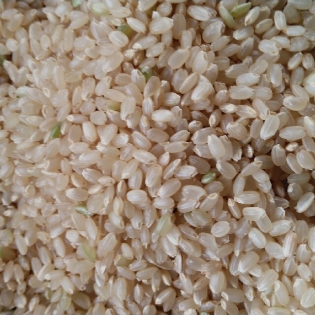 令和4年産ミルキークイーン玄米10キロ無農薬にて作り上げた自慢のお米です。 2