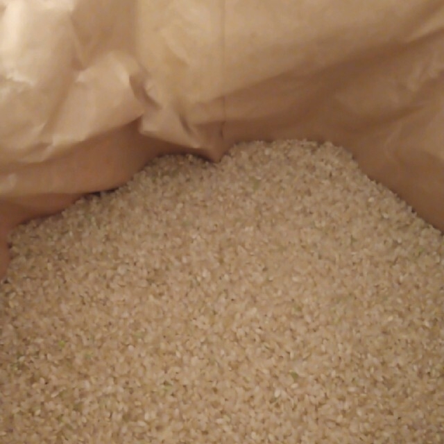 令和4年産ミルキークイーン玄米10キロ無農薬にて作り上げた自慢のお米です。 6