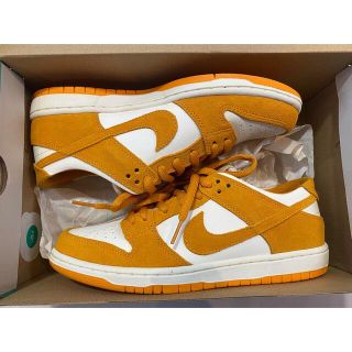 ナイキ(NIKE)のNIKE SB ZOOM DUNK LOW PRO CIRCUIT ORANGE(スニーカー)