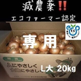 モカ 様専用 北海道産玉ねぎ 20kg L大 サイズ(野菜)
