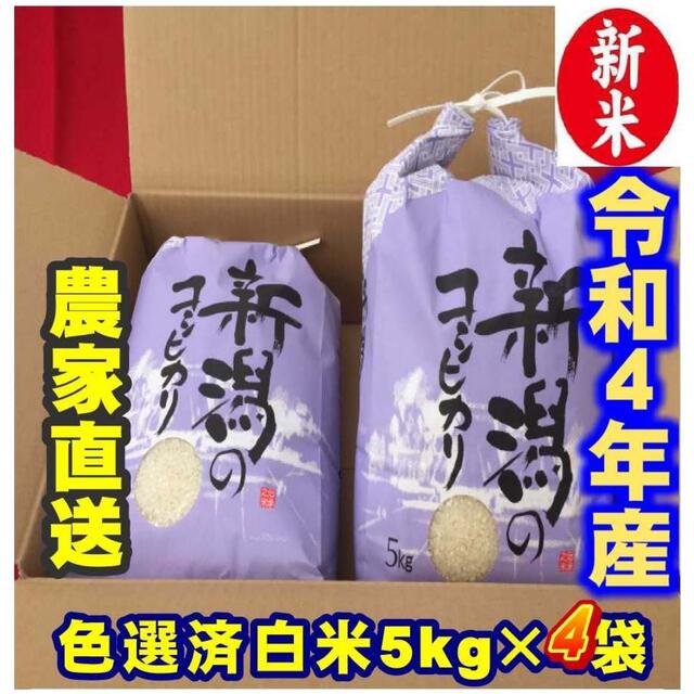 人気が高い 新米・令和4年産新潟コシヒカリ 白米5kg×4個★農家直送★色彩選別済10 米+穀物 人気が高い 新米・令和4年産新潟コシヒカリ 白米5kg×4個★農家直送★色彩選別済10 米+穀物