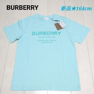 バーバリー(BURBERRY)の新品★バーバリー ホースフェリープリント 半袖シャツ グリーン タグ付(Tシャツ(半袖/袖なし))