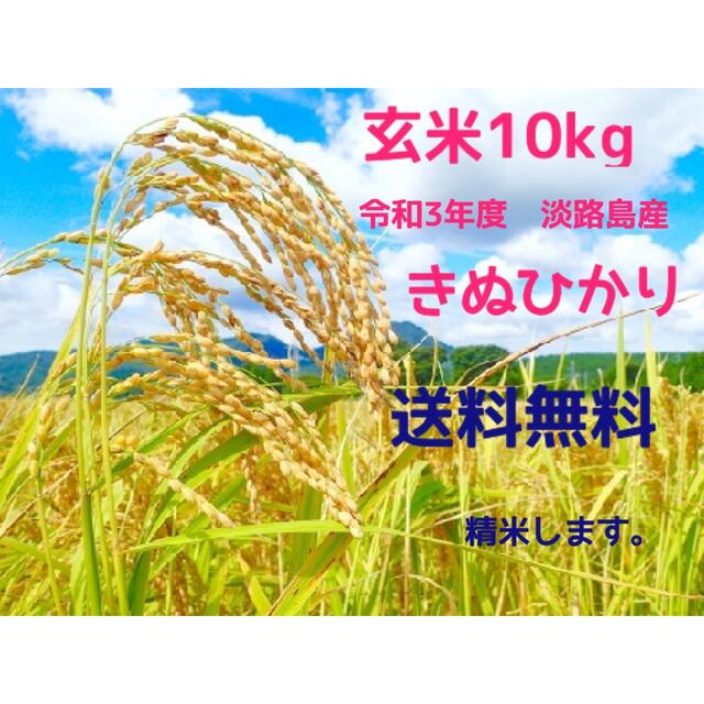 大幅値下　お米25kg 淡路島の農家が作った自慢のお米　送料無料　玄米25kg