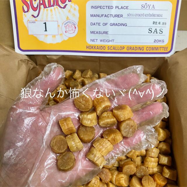 北海道産乾燥帆立貝柱 ホタテ貝柱 SAS 1等級 1kg（100g×10）貝柱