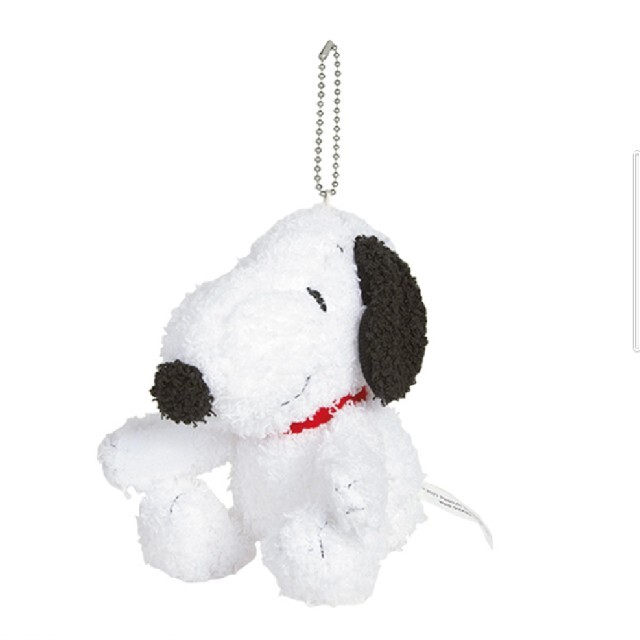 SNOOPY(スヌーピー)のスヌーピーぬいぐるみチャーム＆チャーリー・ブラウンリール付きぬいぐるみ【付録品】 エンタメ/ホビーのおもちゃ/ぬいぐるみ(キャラクターグッズ)の商品写真