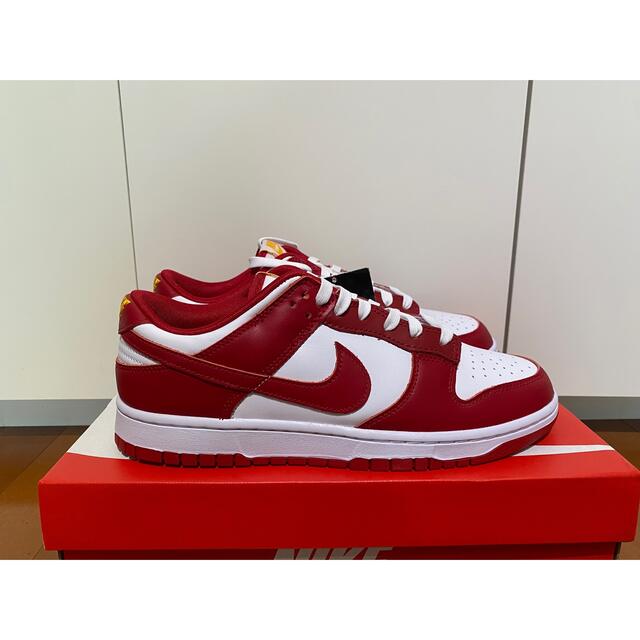 NIKE DUNK LOW GYM RED 28.0 US10 新品 ダンク