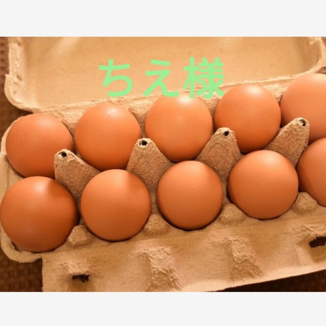 ちえ様専用　平飼いたまご30個 食品/飲料/酒の食品(野菜)の商品写真