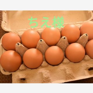 ちえ様専用　平飼いたまご30個(野菜)