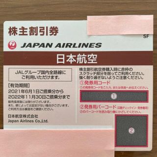 ジャル(ニホンコウクウ)(JAL(日本航空))のJAL 株主割引券　2022年11月30日まで(その他)