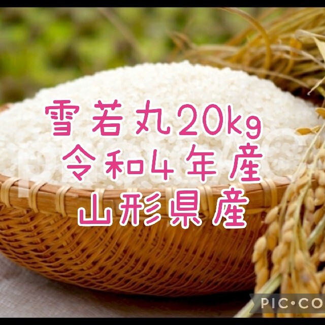 米/穀物　雪若丸20kg　令和４年産山形県産