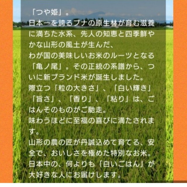 つや姫10kg　令和４年山形県産 2