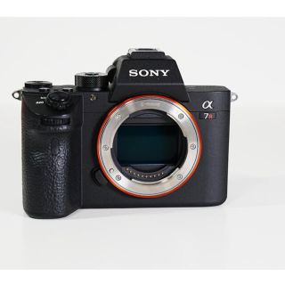 ソニー(SONY)のSONY ILCE-7RM3(ミラーレス一眼)