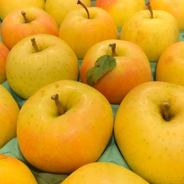 青森りんご 葉とらずトキ 5kg 食品/飲料/酒の食品(フルーツ)の商品写真