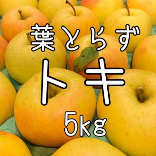 青森りんご 葉とらずトキ 5kg(フルーツ)