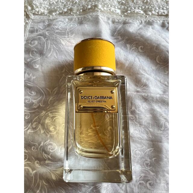 DOLCEGABBANA ドルチェガッバーナ ベルベット ジネストラ