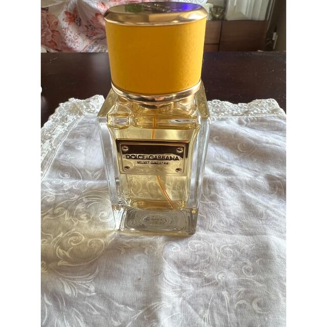 DOLCEGABBANA ドルチェガッバーナ ベルベット ジネストラ