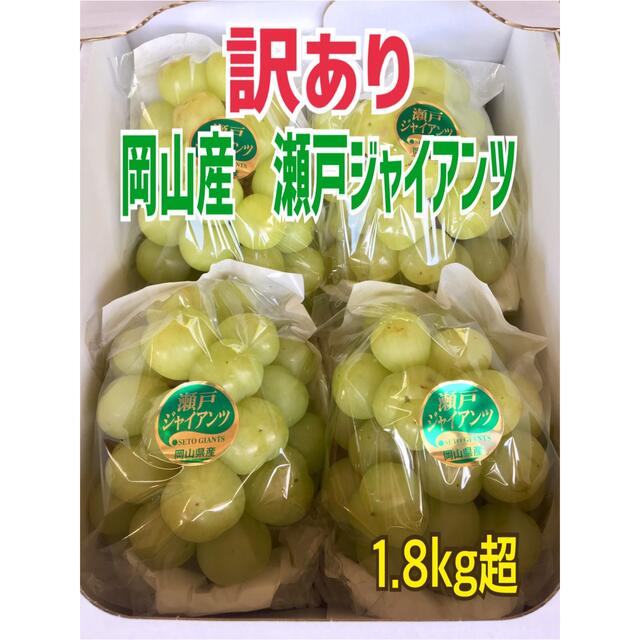 岡山県産瀬戸ジャイアンツ(訳あり)1.8Kg超 chateauduroi.co