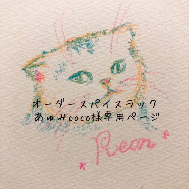 あゅみcoco様専用ページ 正規通販 lecoupe-chou.fr