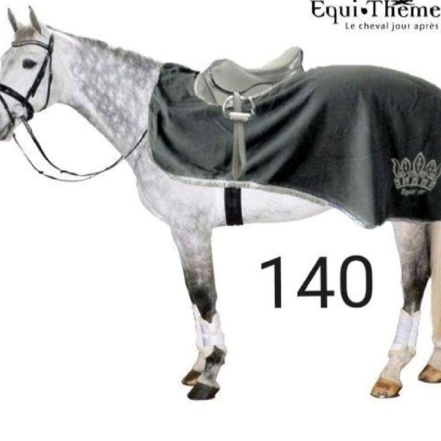カラー Equi-Theme フリースエクササイズシート ネイビー140 乗馬 馬術