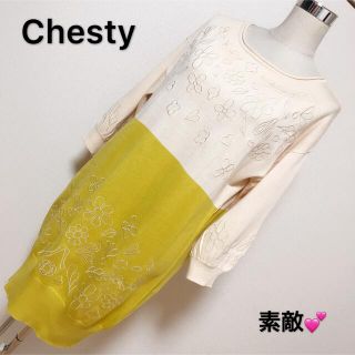 チェスティ(Chesty)のChesty ワンピース✨(ひざ丈ワンピース)