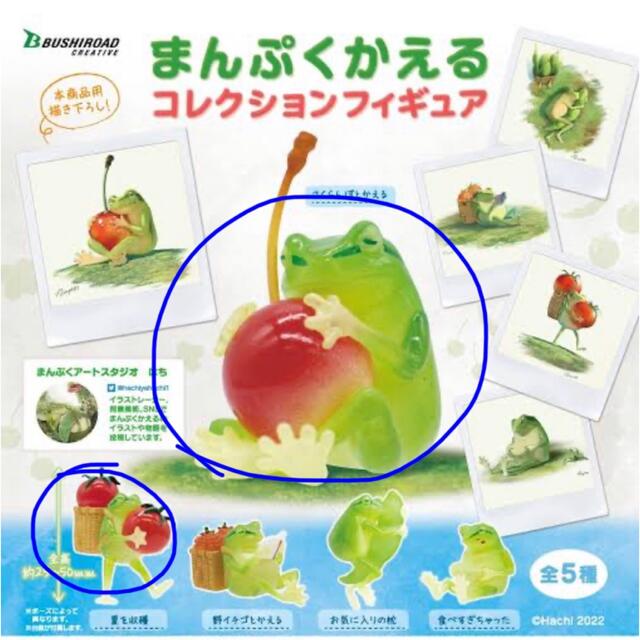 まんぷくかえる　ガチャ エンタメ/ホビーのおもちゃ/ぬいぐるみ(キャラクターグッズ)の商品写真