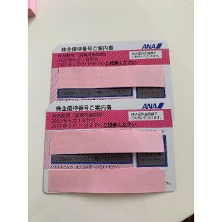 エーエヌエー(ゼンニッポンクウユ)(ANA(全日本空輸))のANA　株主優待券（株主割引券）(その他)