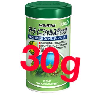 テトラ(Tetra)のテトラ　イニシャルスティック　30g(アクアリウム)