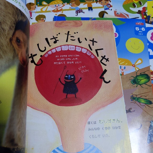 全家研　ポピー　あおどり　10冊セット★お試し エンタメ/ホビーの本(絵本/児童書)の商品写真