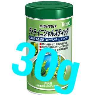 テトラ(Tetra)のテトラ　イニシャルスティック　30g(アクアリウム)