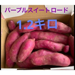 長野県産　パープルスイートロード　1.2キロ(野菜)