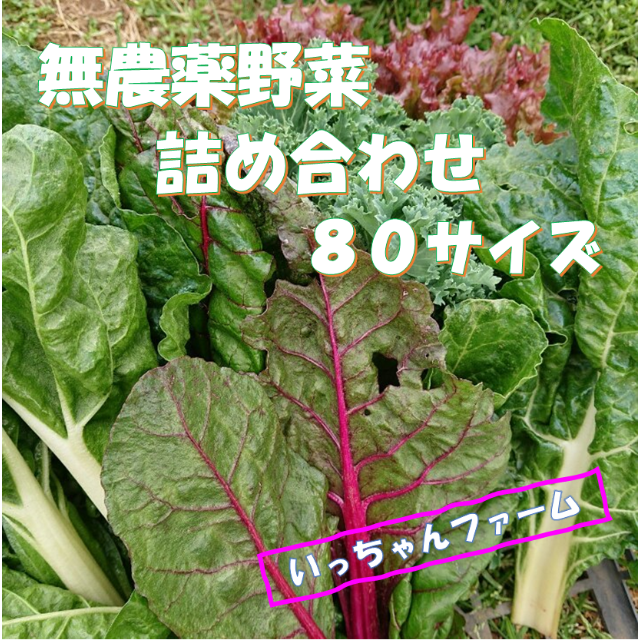 秋を感じる野菜セット　秋野菜の詰め合わせ　８０サイズ 食品/飲料/酒の食品(野菜)の商品写真