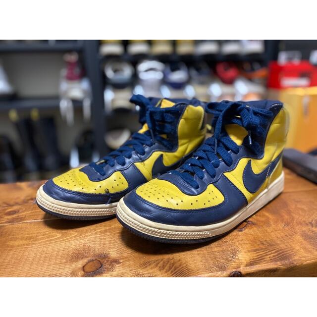 NIKE TERMINATOR HIGH(VNTG) ターミネーター　ミシガン