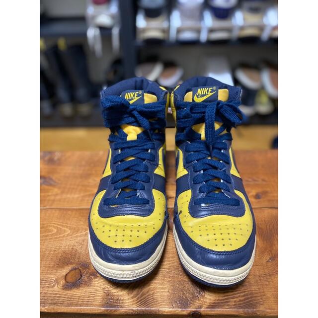 NIKE - NIKE TERMINATOR HIGH(VNTG) ターミネーター ミシガンの NIKE - NIKE TERMINATOR HIGH(VNTG) ターミネーター ミシガンの