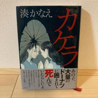 カケラ(文学/小説)