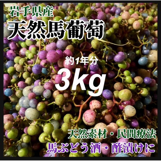 【天然無農薬】馬ぶどう　3kg 岩手県産　真空個包装　冷凍クール便　薬膳