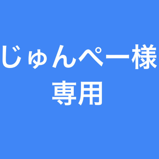 ★じゅんぺー様専用★ エンタメ/ホビーの本(人文/社会)の商品写真