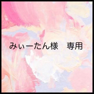 みぃーたんさま♡専用(その他)