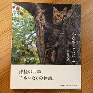 写真集「ふるさとのねこ」　サイン入り(住まい/暮らし/子育て)