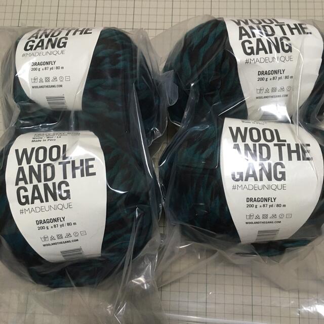 生地/糸crazy sexy wool(wool and the gang) 4玉